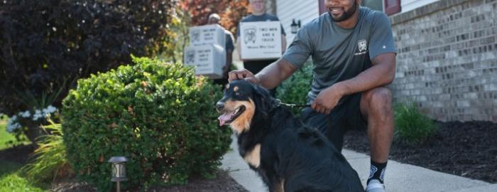 Mover with dog